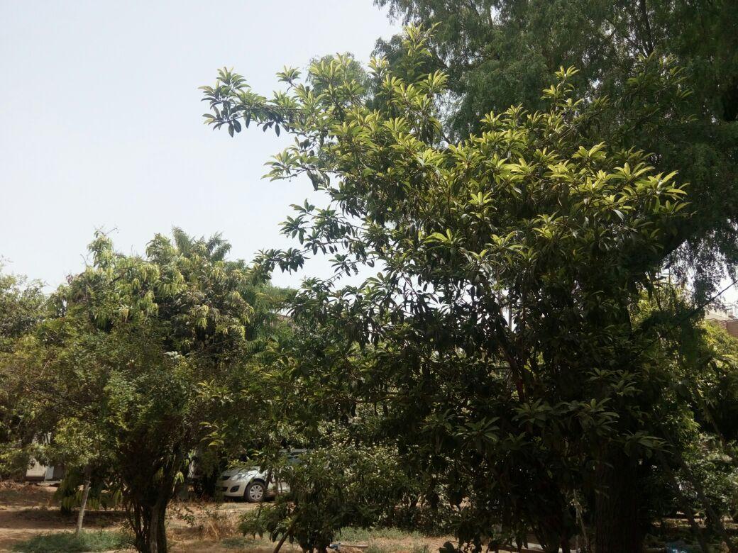 Nature Trail Camps & Homestay Jodhpur  Exterior foto
