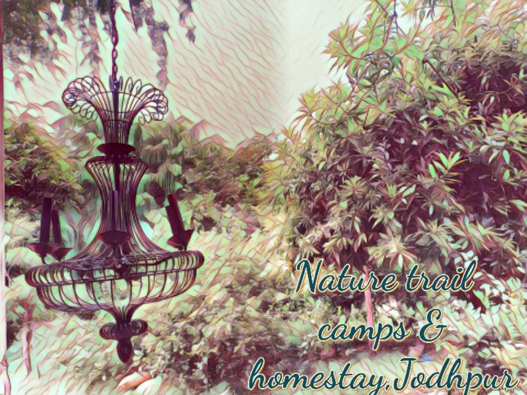 Nature Trail Camps & Homestay Jodhpur  Exterior foto